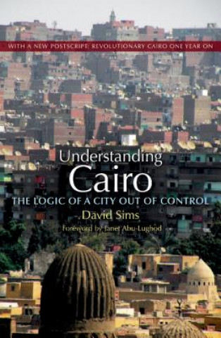 Könyv Understanding Cairo David Sims