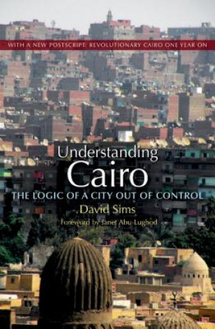 Book Understanding Cairo David Sims