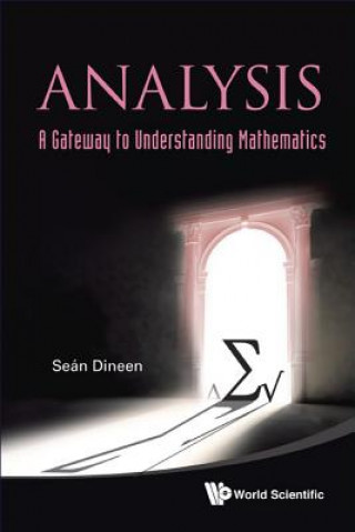 Kniha Analysis Sean Dineen