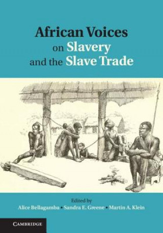 Buch African Voices on Slavery and the Slave Trade: Volume 1, The Sources Alice Bellagamba