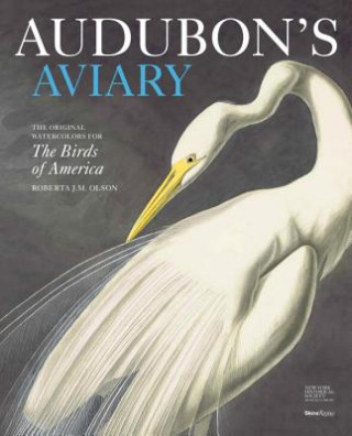 Kniha Audubon's Aviary Roberta Olson