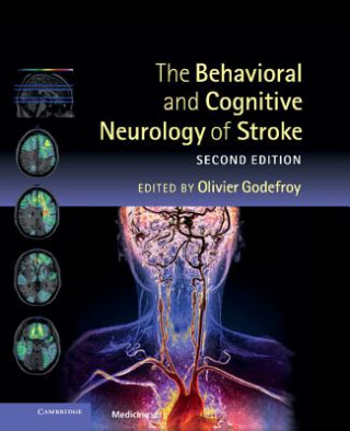 Kniha Behavioral and Cognitive Neurology of Stroke Olivier Godefroy