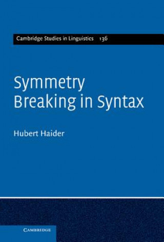 Könyv Symmetry Breaking in Syntax Hubert Haider