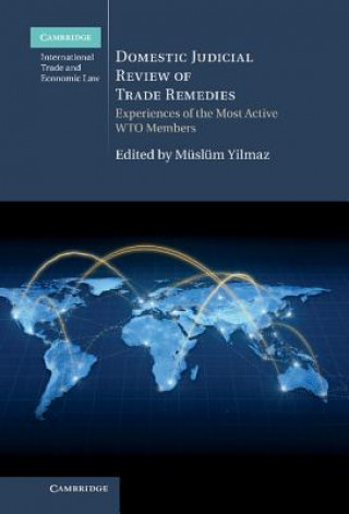 Könyv Domestic Judicial Review of Trade Remedies Muslum Yilmaz