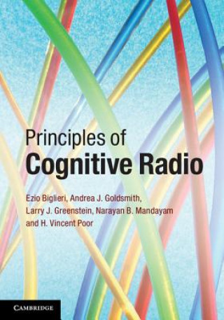 Kniha Principles of Cognitive Radio Ezio Biglieri