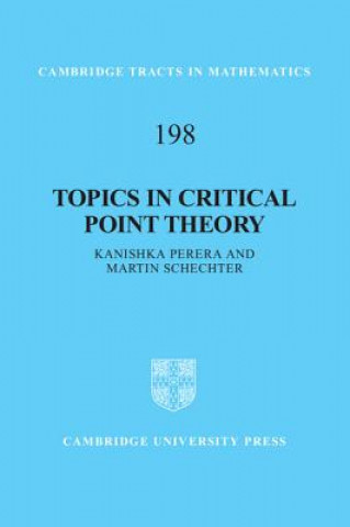 Kniha Topics in Critical Point Theory Kanishka Perera