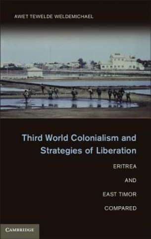 Kniha Third World Colonialism and Strategies of Liberation Awet Tewelde Weldemichael