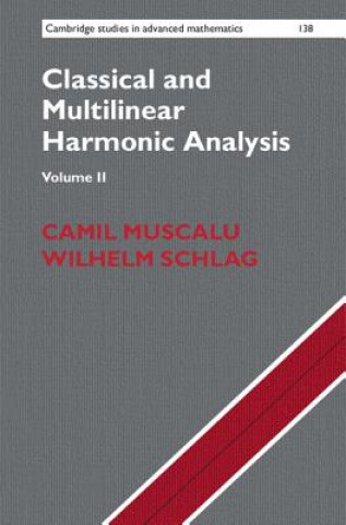 Könyv Classical and Multilinear Harmonic Analysis Camil Muscalu