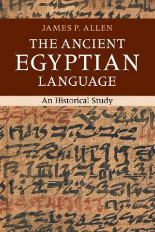 Kniha Ancient Egyptian Language James P Allen