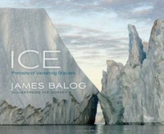 Kniha Ice James Balog