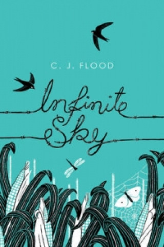 Knjiga Infinite Sky C J Flood