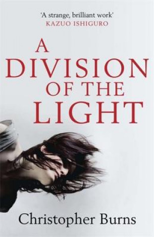 Könyv Division of the Light Christopher Burns