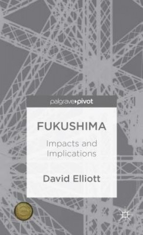 Carte Fukushima David Elliott