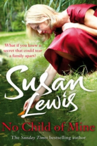Knjiga No Child of Mine Susan Lewis