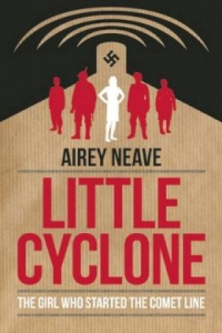 Kniha Little Cyclone Airey Neave