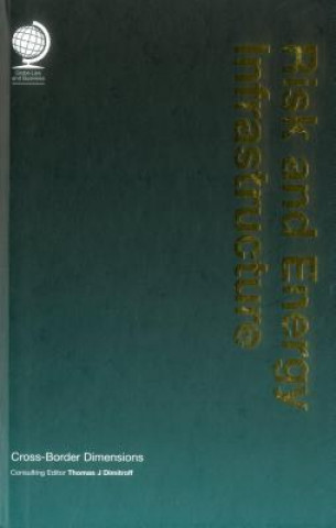 Книга Risk and Energy Infrastructure Thomas Dimitroff