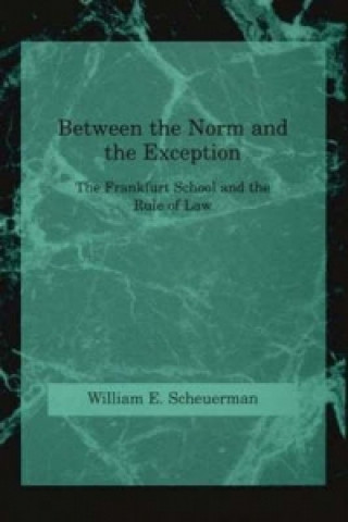 Kniha Between the Norm and the Exception WilliamE Scheuerman