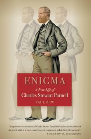 Buch Enigma Paul Bew