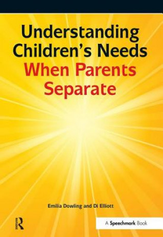 Könyv Understanding Childrens Needs When Parents Separate Di Elliott
