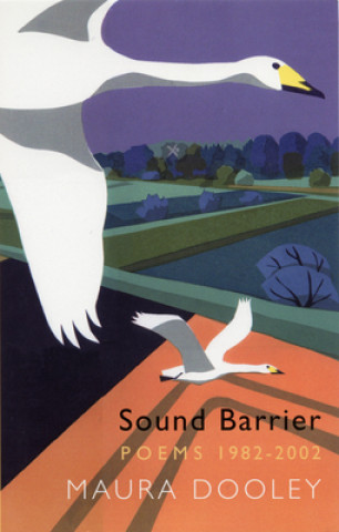 Carte Sound Barrier Maura Dooley