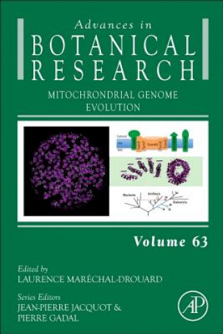 Boek Mitochondrial Genome Evolution Laurence Marechal Drouard