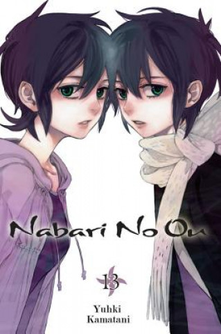 Carte Nabari No Ou, Vol. 13 Yuhki Kamatani