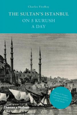 Kniha Sultan's Istanbul on Five Kurush a Day Charles FitzRoy