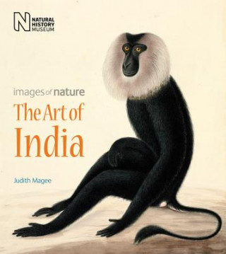 Carte Art of India Judith Magee
