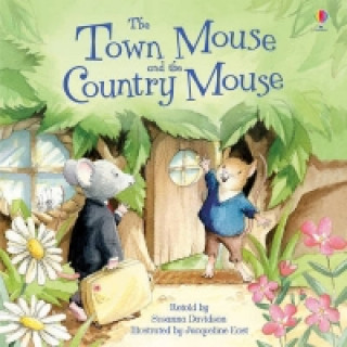 Könyv Town Mouse and Country Mouse Susanna Davidson