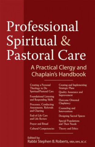 Kniha Professional Spiritual & Pastoral Care Stephen B Roberts