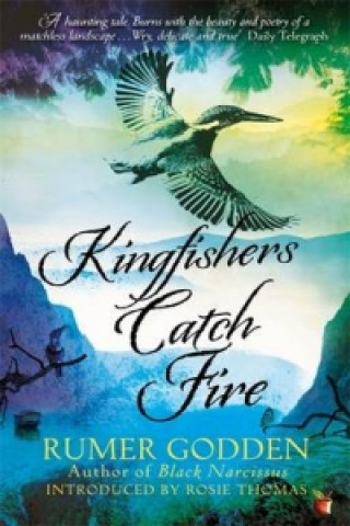 Kniha Kingfishers Catch Fire Rumer Godden