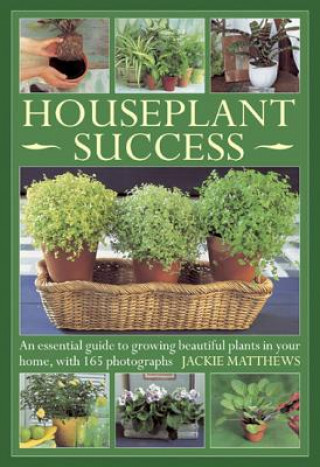Книга Houseplant Success Jackie Matthews