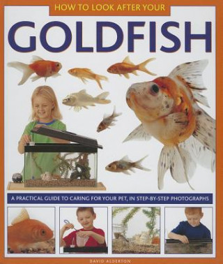 Könyv How to Look After Your Goldfish David Alderton