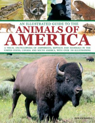Carte Illustrated Guide to the Animals of America Tom Jackson