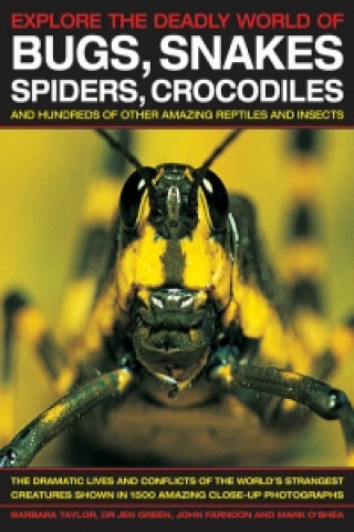 Buch Explore the Deadly World of Bugs, Snakes, Spiders, Crocodiles Barbara Taylor