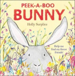 Knjiga Peek-a-Boo Bunny Holly Surplice