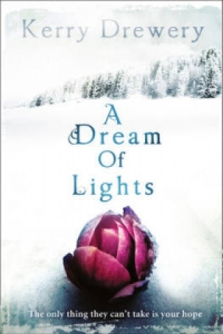 Книга Dream of Lights Kerry Drewery