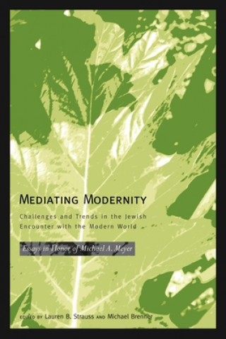 Könyv Mediating Modernity Lauren B Strauss