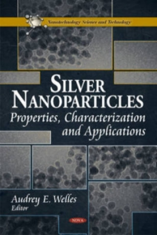 Kniha Silver Nanoparticles Audrey E Welles