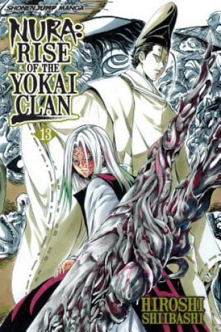 Kniha Nura: Rise of the Yokai Clan, Vol. 13 Hiroshi Shiibashi