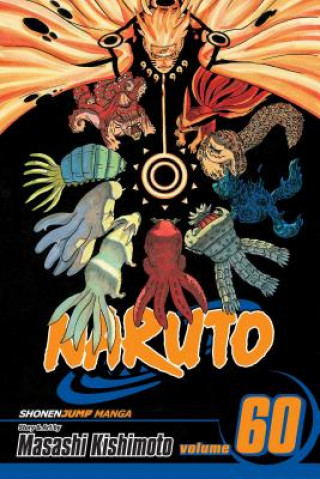 Książka Naruto, Vol. 60 Masashi Kishimoto