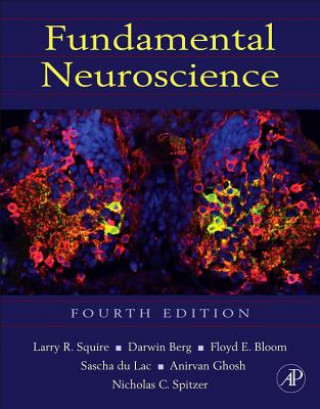 Книга Fundamental Neuroscience Larry Squire