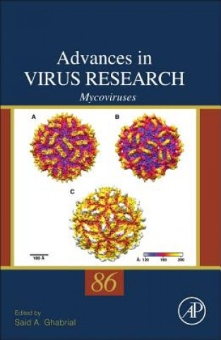 Kniha Mycoviruses Said Ghabrial