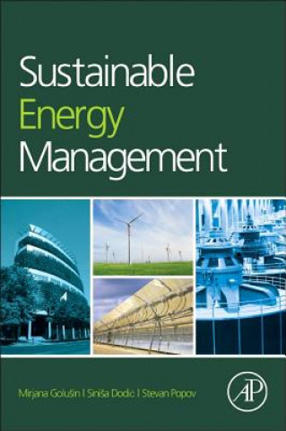 Kniha Sustainable Energy Management Mirjana Golusin