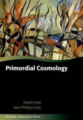 Książka Primordial Cosmology Patrick Peter