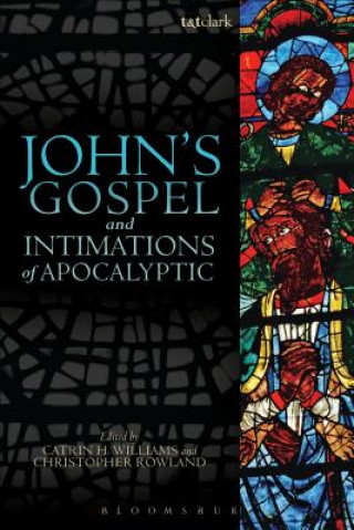 Książka John's Gospel and Intimations of Apocalyptic Catrin H Williams