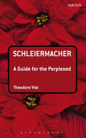 Könyv Schleiermacher: A Guide for the Perplexed Theodore Vial