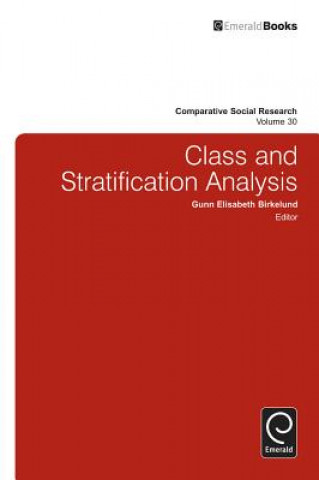 Книга Class and Stratification Analysis Gunn Elisabeth Birkelund