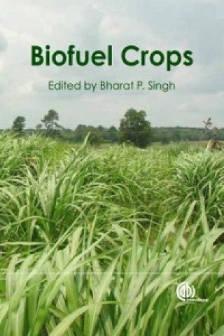 Книга Biofuel Crops Bharat P Singh