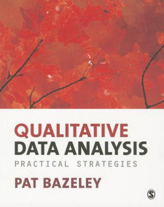 Könyv Qualitative Data Analysis Patricia Bazeley